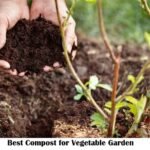 Best Compost for Vegetable Garden: Guide for Healthy, High-Yield Crops