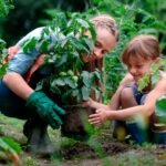 compost for vegetable garden