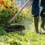 How to Become a Gardener