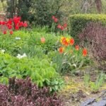hollister house garden