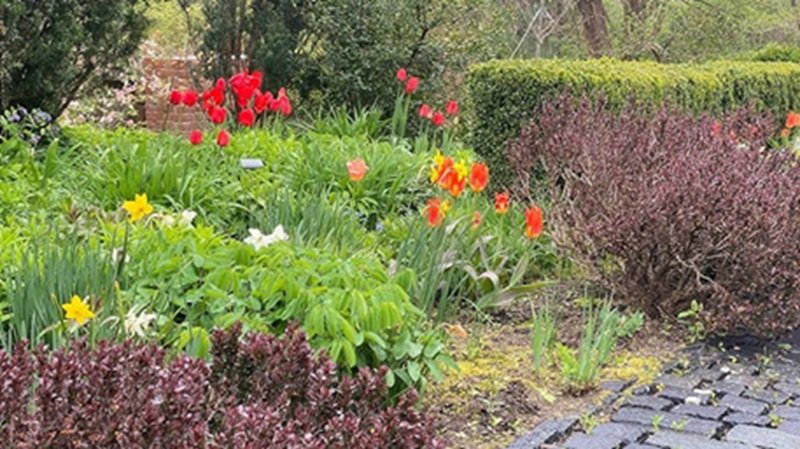hollister house garden