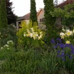 fine gardening magazine
