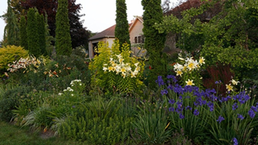 fine gardening magazine