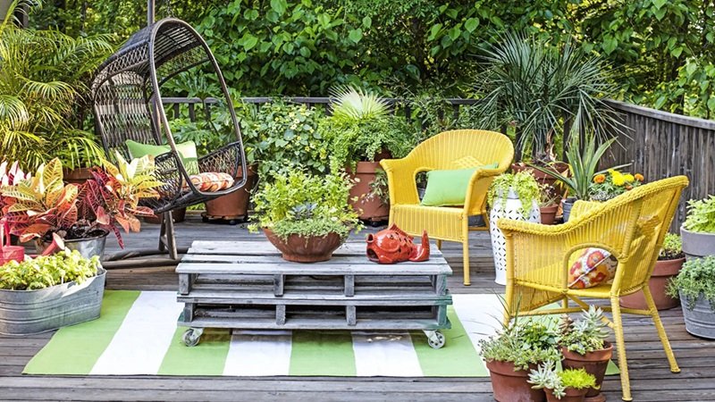 Terrace Gardening